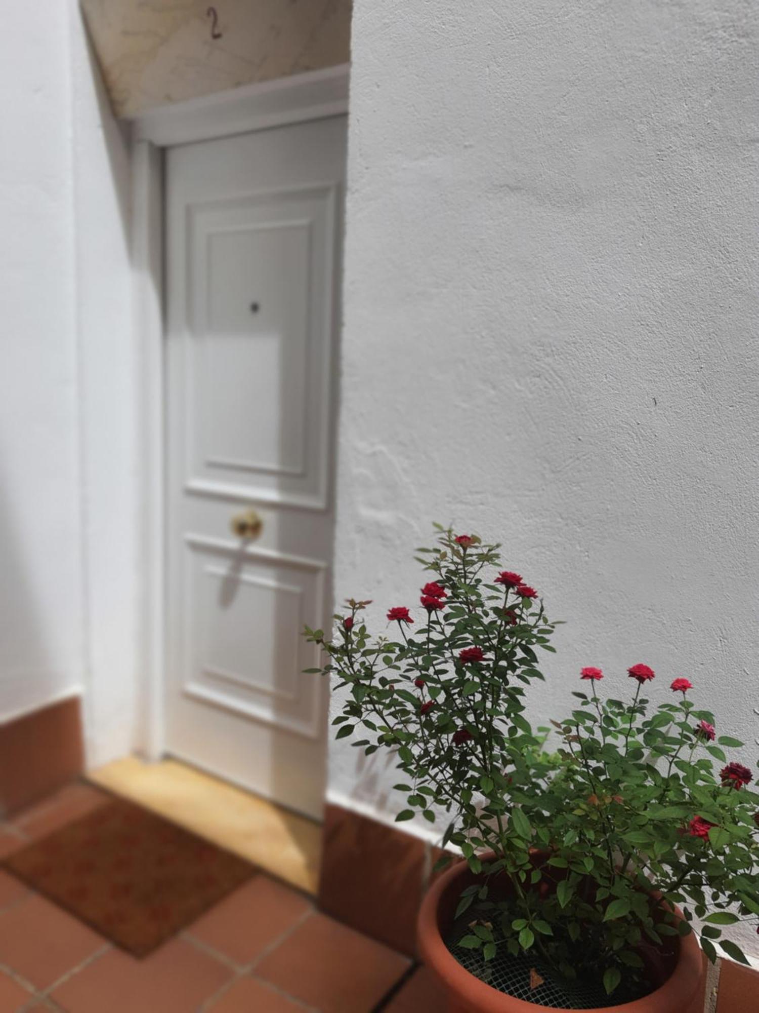 Centuria Macarena, Apartamento Duplex Leilighet Sevilla Eksteriør bilde